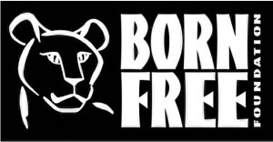 Latest Born Free newsletter just in!